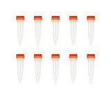 (11-243) Mix & Go! Competent Cells- Str Chemically Competent Cells 10 x 100ul/Unit