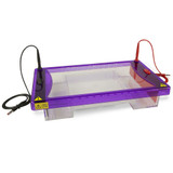 (45-103NE) Negative Electrode for Maxi 20cm Gel Box 1 Electrode/Unit