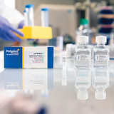 Polyplus-transfection 101000001 jetPRIME® DNA and siRNA Transfection Reagent, with 10 x 60 ml Buffer, 5 x 1.5 ml/unit primary image
