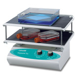 (33-209D) Rocker 35 EZ w/ Double Platform & Timer 1 Rocker/Unit