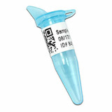 (89-159) Thrml Trnsfr CryoBabies, 1.5/2 1.50 x 0.50", White 2000 Labels/Unit