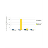 Polyplus-transfection 101000010 Polyplus-transfection 101000010 PULSin® protein Delivery Reagent, With Hepes Buffer (20mM), 400 µl/unit, With Hepes Buffer (20mM), 400 µl/unit Secondary Image