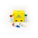 (11-735) ZymoScript One-Step RT-qPCR Kit RNA 100 Rxns/Unit