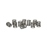 (59-177) Replacement Springs For Droso-Filler 10 Springs/Unit