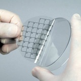 (89-179) Petri Stickers 50-square grid 36 Stickers/Unit