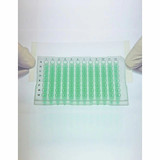 (12-537HT) ThermalSeal RTS, Roll-Seal 79mm x 65 meters, Non-Sterile 1 Roll/Unit
