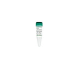 (11-664B) Anti-5-Hydroxymethylcytosine P Zymo Research 25µg/Unit