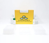 (11-325H) ZR-96 RNA Clean & Concentrator Zymo Research 2 x 96 Preps/Unit