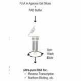 (11-351) Zymoclean Gel RNA Recovery Kit Zymo Research 50 Preps/Unit