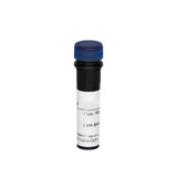 (55-838D) CD38 Biotin Antibody Clone OKT10, Mouse IgG1,k 100ug/Unit