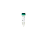 (11-442A) E. coli Non-Methylated Genomic Zymo Research 5 ug / 20 ul/Unit