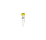 (11-464L) Control C 100 ng/ul Zymo Research 40 ul/Unit