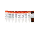 (11-705) Femto Fungal DNA Quantification Kit Zymo Research 100 rxns/Unit