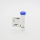 (25-837) Kanamycin ready-made, 50mg/mL 1 mL vial ready to use 10 x 1 mL/Unit