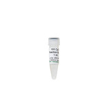(11-705D) 10X CpG Reaction Buffer Zymo Research 1ml/Unit