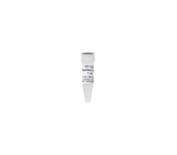 (11-705D) 10X CpG Reaction Buffer Zymo Research 1ml/Unit