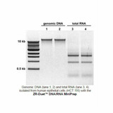 (11-385) Quick-DNA/RNA Miniprep Zymo Research 50 Preps/Unit