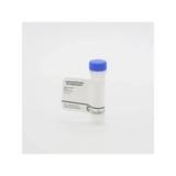 (25-954) Customized SDS Protein Gel Loading Solution SDS Protein Gel 1ml 5 Bottles/Unit