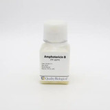 (25-832) Amphotericin B,  250µg/mL Antifungal agent 50 mL/Unit