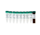 (11-704) Femto Human DNA Quantification Zymo Research 100 rxns/Unit