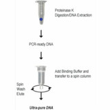 (11-393) Pinpoint Slide DNA Isolation S Zymo Research 50 Preps/Unit