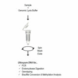 (11-317MD) Quick-DNA MidiPrep Plus Kit Uncapped Columns 25 Preps/Unit