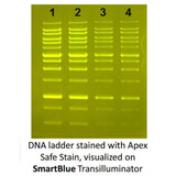 (20-278) Apex Safe DNA Gel Stain 20,000x, In Water 1.0ml/Unit