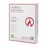 ProSignal® ECL Blotting Film ProSignal® ECL Blotting Film
