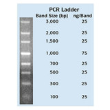 Apex Quantitative PCR DNA Ladders Apex Quantitative PCR DNA Ladders