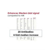 (20-313) OneBlock™ Western-CL Blocking Enhancing & blocking solution 1000ml/Unit