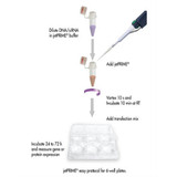 jetPRIME® DNA and siRNA Transfection Reagent