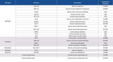 jetPRIME® DNA and siRNA Transfection Reagent