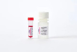 Apex Extract-Amp RED PCR Kit