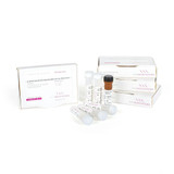 qPCRBIO SyGreen Mix Separate-ROX