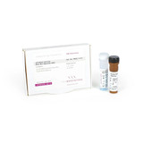 qPCRBIO SyGreen Blue Mix Separate ROX