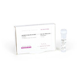 qPCRBIO Probe Mix No-ROX qPCRBIO Probe Mix No-ROX