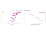 Clara™ Probe 1-Step Mix No-ROX