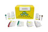 Zymo-Seq RiboFree Total RNA Library Prep Kits Zymo-Seq RiboFree Total RNA Library Prep Kits