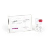 qPCRBIO SyGreen 1-Step Detect Lo-ROX