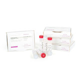 qPCRBIO SyGreen 1-Step Detect Lo-ROX