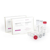 PCRBIO Classic Taq DNA Polymerase PCRBIO Classic Taq DNA Polymerase