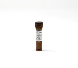 Zymo CT Conversion Reagent for  EZ DNA Methylation Kits