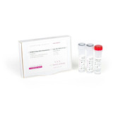 PCRBIO Ultra Polymerase PCRBIO Ultra Polymerase
