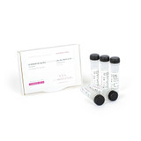 PCRBIO HS Taq DNA Polymerase Mix