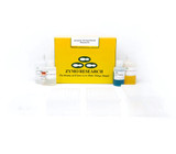Zymoprep-96 Yeast Plasmid Miniprep Kits