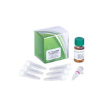 High Efficiency ig® 10B DH10B Chemically Competent Cells High Efficiency ig® 10B DH10B Chemically Competent Cells