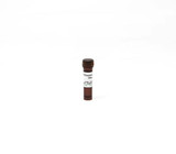 Zymo, M-Dissolving Buffer