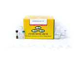 EZ DNA Methylation Kits