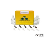 EZ DNA Methlyation-Lightning Kits
