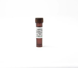 EZ DNA Methlyation-Lightning Kits
